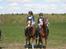 Hollandsk Sportspony Roxanne(Foxy Roxy)solgt - DM par..