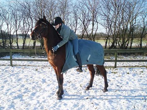 Connemara Torps Oliver  ( Solgt) - mig og oliver i sneen  billede 3