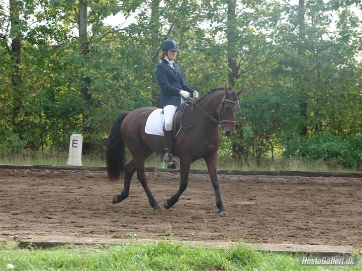 Connemara Torps Oliver  ( Solgt) - mig og oliver la1 på Hjrk. 2 plads ( klubmesterskab:) )  billede 6