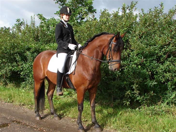 Connemara Torps Oliver  ( Solgt) - mig og oliver, ponyuge  billede 11