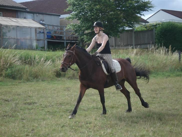 Connemara Torps Oliver  ( Solgt) - mig og oliver lidt hygge på marken :)  billede 12