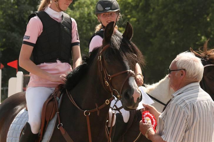 Anden særlig race ANGEL  {b-pony} - præmieoverrækkelse billede 2