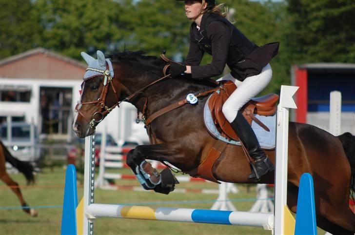 Anden særlig race ANGEL  {b-pony} - sønderhygum billede 5