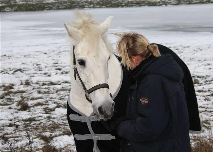 Anden særlig race Silver Star <3 R.I.P :( - 6. 16/1-10 , gåtur i sneen (: "I´ll forget the world that i knew, but i swear i wont forget you!" billede 6