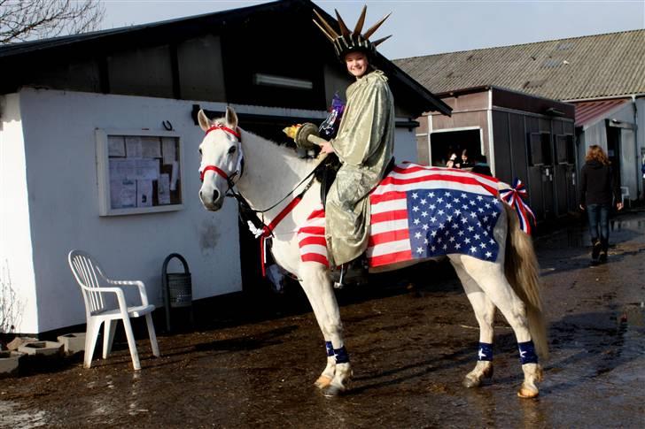 Anden særlig race Silver Star <3 R.I.P :( - 7. 22/2-09 fastelavn på VSR - frihedsgudinden og USA :D vi vandt for udklædning billede 7