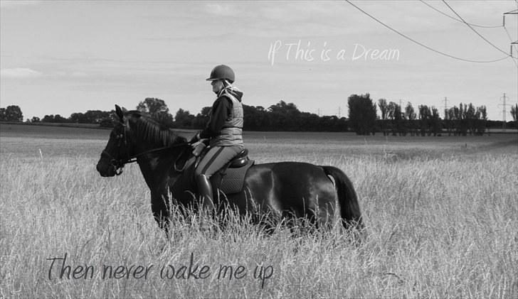 Oldenborg Emma (Dot) Hestbækgård - 

+*.dont have to explain why i love you..
i just do.*+ <3

 billede 12