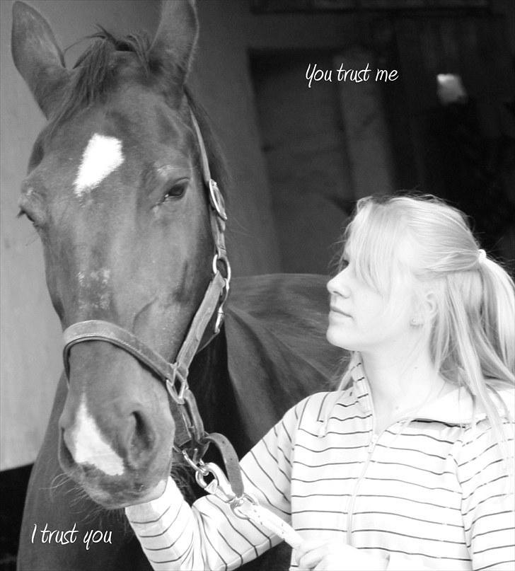 Oldenborg Emma (Dot) Hestbækgård - +*.Friendship without envy.*+ billede 13