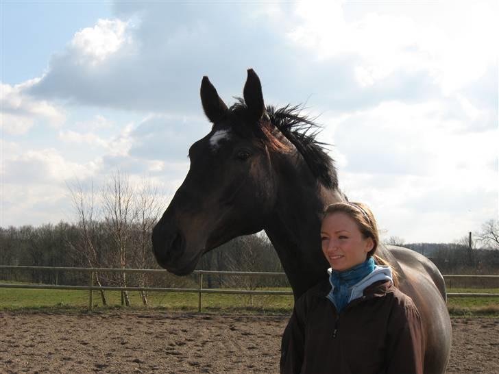 Dansk Varmblod Montahko's Simba SOLGT :( - Billede 3: Harmonisk billede med Simba og mig :) Fotograf: Jannike Borg(Hamster) ;p billede 2