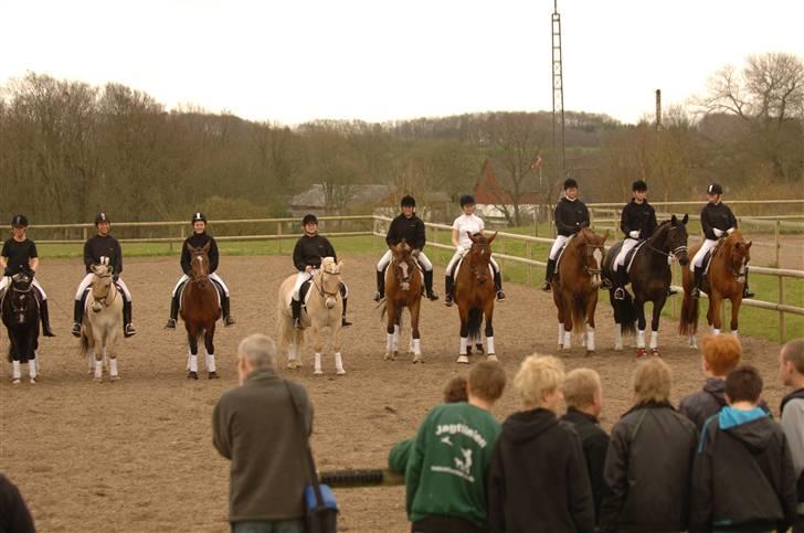 Dansk Varmblod Montahko's Simba SOLGT :( - Billede 5: Ny elevdag, d.26/4-2008, ANE! Efter kvadrille til fotografering. Simba og jeg er nr. 2 fra højre :D billede 4