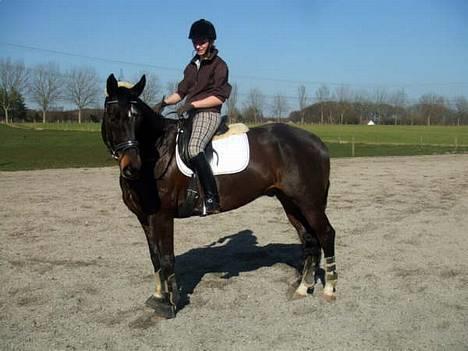 Dansk Varmblod Montahko's Simba SOLGT :( - Billede 9: Gammelt d.27/03-07, vi tager lige en slapper under den hårde træning, Super fotograften: Mia Emilie.! billede 8