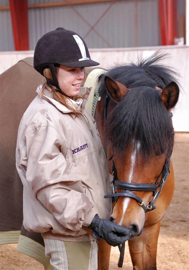 Hollandsk Sportspony Miss Charming - #8 Looooooove billede 8