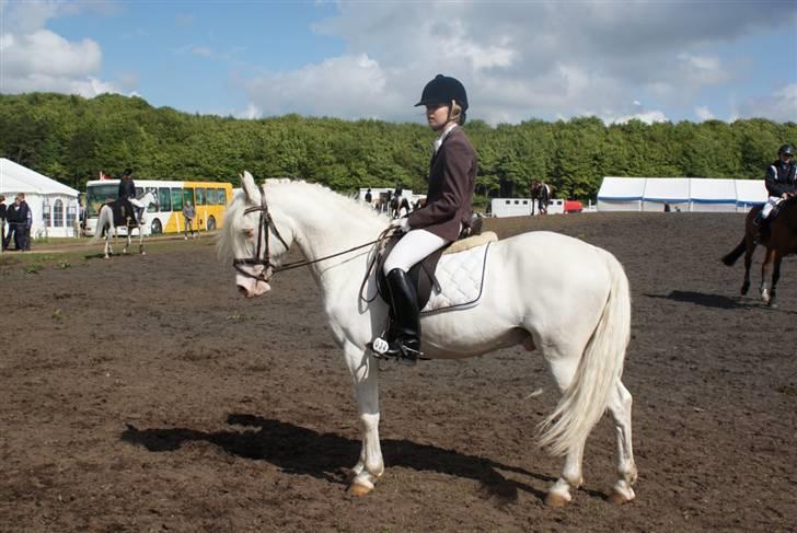 Connemara Mosevangs Cocu - Mors 09. billede 4