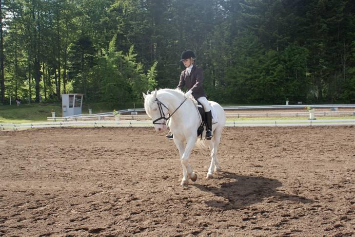 Connemara Mosevangs Cocu - Mors 09. billede 10