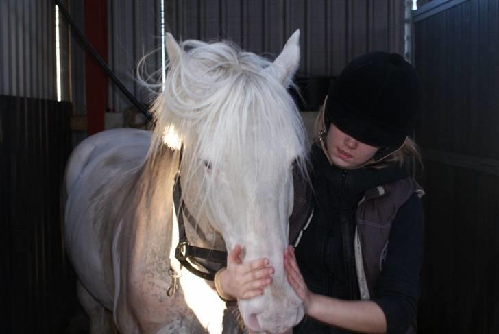 Connemara Mosevangs Cocu - 12 maj 09. Cocu i sit daglig bad :]  billede 11