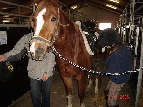 Anden særlig race Mon Cheri solgt :( - hvad er det der er der ??? billede 2