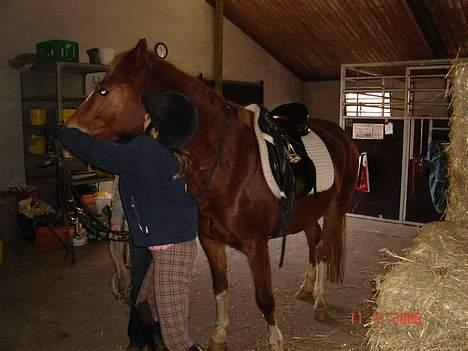 Anden særlig race Mon Cheri solgt :( - vil ikke have hovedtøj på idag billede 3