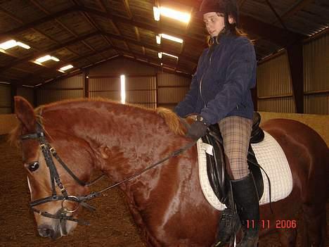 Anden særlig race Mon Cheri solgt :( - er jeg ikke smuk billede 4