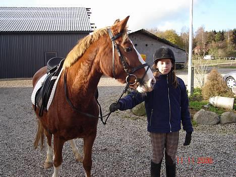Anden særlig race Mon Cheri solgt :( - nanna se en kat billede 5