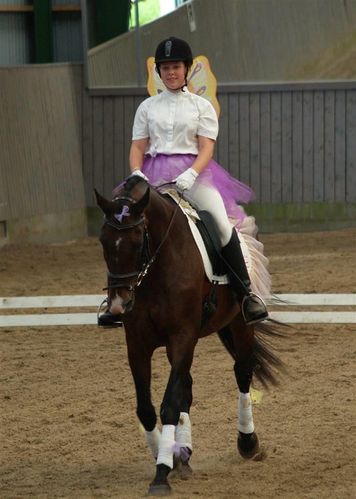 Dansk Varmblod Marlywunder - Fik en 1 plads for det smukke program :P ballarina og fe <3 billede 12