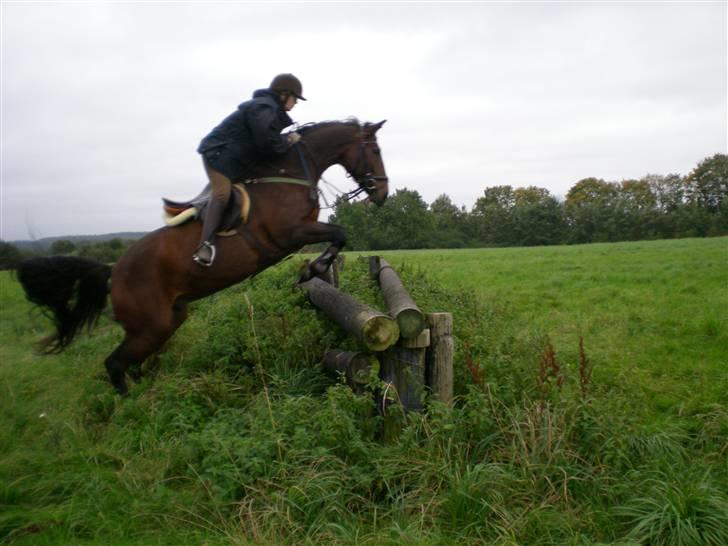 Holstener Komet * Solgt * - på tæring banen 06 billede 17
