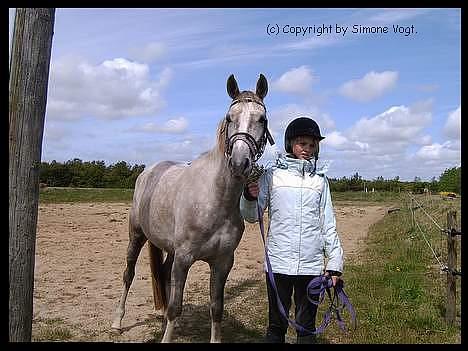 Pinto Araber Lauge's Candyfloss - Candy, Maj 2006. Billedet er taget af Pernille Fromberg. billede 6