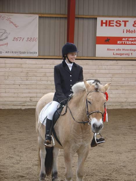 Fjordhest Clausen  - Vi venter på vi må få æresrundte ! [; Fotograf: Far billede 15