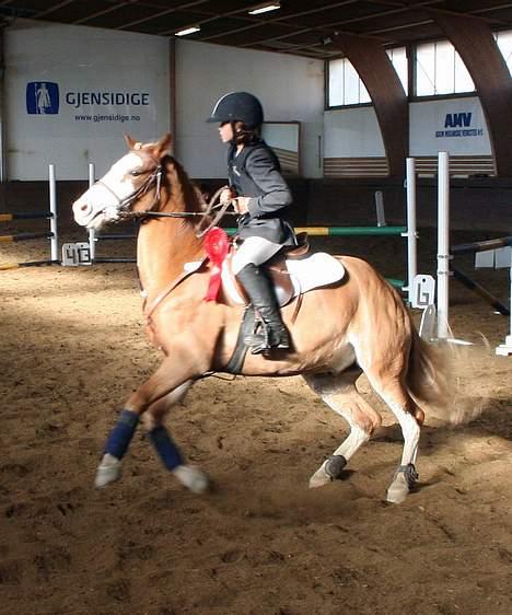 Anden særlig race Lucky One - Æresrunde! Juuubi! billede 20