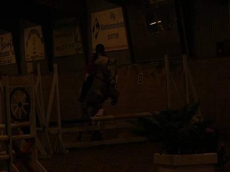 Anden særlig race IL TEMPO GIGANTE solgt billede 20