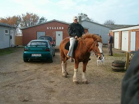 Tinker Milton billede 7