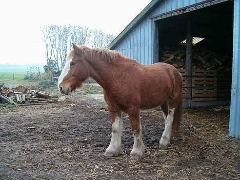 Tinker Milton billede 8