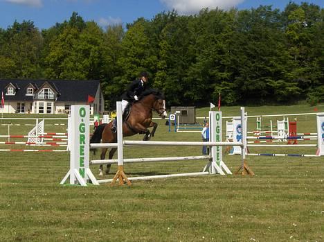 DSP Bæklunds Laredo (SOLGT) - Morsø 07 (LA) Da vi først fandt ud af den daq , at han faktisk var 2´er oq ik 1´er :b . billede 16