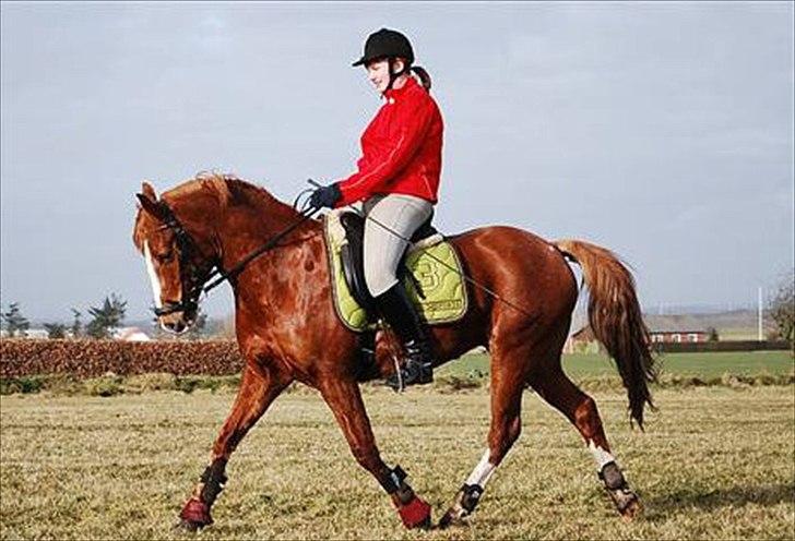 Anden særlig race Tarzan - mig og tarzan billede 4