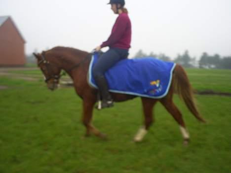 Anden særlig race Tarzan - mig og tarzan billede 7