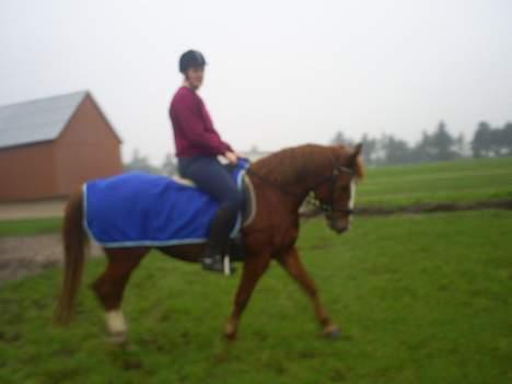 Anden særlig race Tarzan - mig og tarzan billede 8