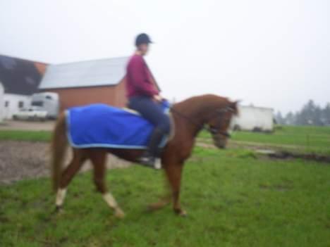 Anden særlig race Tarzan - mig og tarzan billede 10