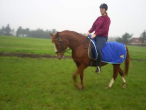 Anden særlig race Tarzan - mig og tarzan billede 11