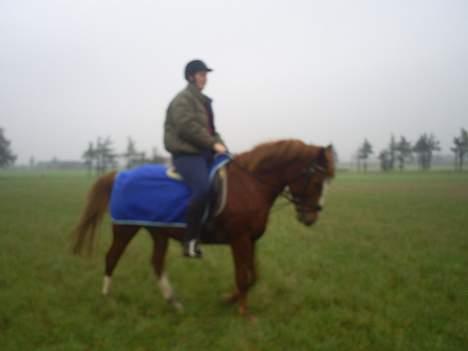 Anden særlig race Tarzan - mig og tarzan billede 13