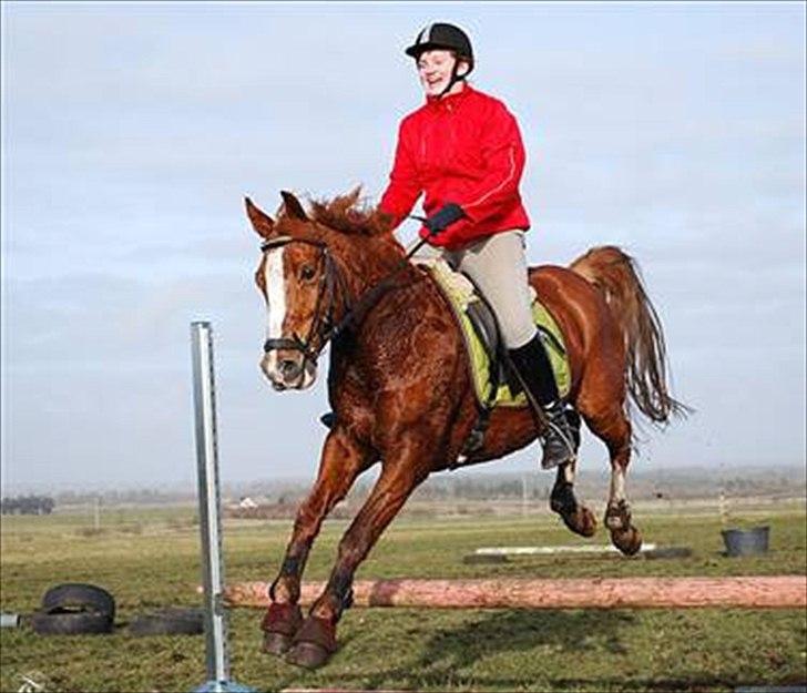 Anden særlig race Tarzan - tarzan billede 14