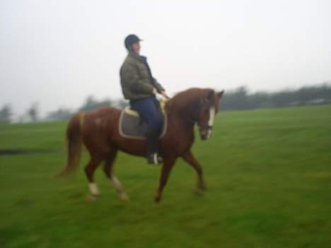 Anden særlig race Tarzan - mig og tarzan billede 16