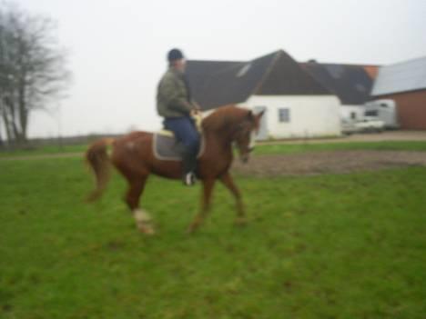 Anden særlig race Tarzan - mig og tarzan billede 17