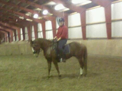 Anden særlig race Tarzan - mig og tarzan i bredebro inden undervisning ikk han gik sku godt den dag....<3<3<3<3 billede 20