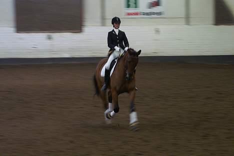 Anden særlig race Simka - Simka og jeg til stævne i tjæreborg d. 19/11-2006 (I en øgning) billede 10