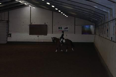 Anden særlig race Simka - Simka og jeg til stævne i tjæreborg d. 19/11-2006 (LIdt mørkt billede ) billede 11