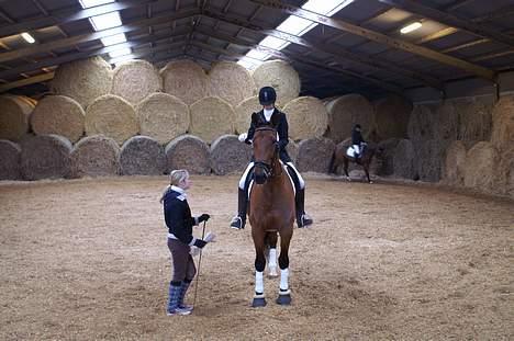 Anden særlig race Simka - Simka og jeg til stævne i tjæreborg d. 19/11-2006 (Da pogrammet skulle læres) billede 12