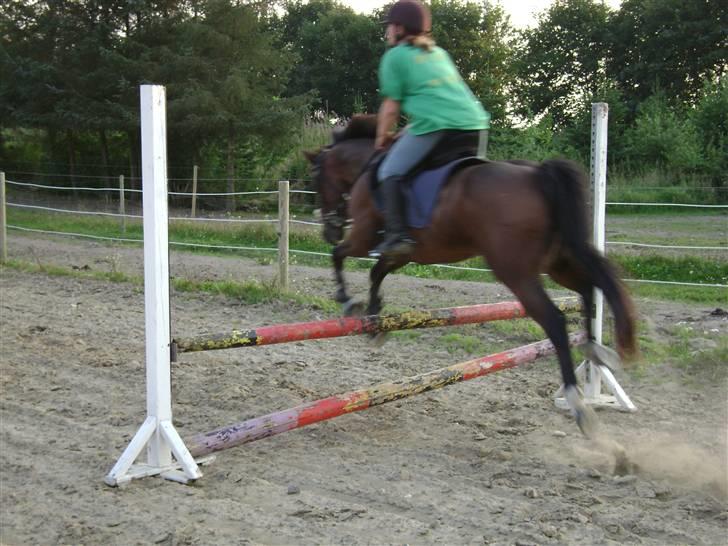 Anden særlig race Chagall [solgt] - kig ikk på mig billede 15