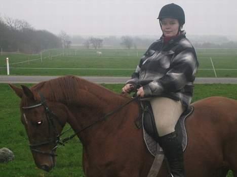 Dansk Varmblod Mizett Solvang - Mizett og mig billede 13