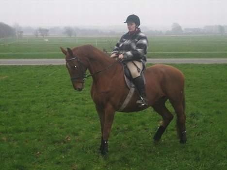 Dansk Varmblod Mizett Solvang - til alle i andre overvægtige piger, lad være med at købe en foret skovmands skjorte, den får jer til at se 20 kg tungere ud :0) billede 16