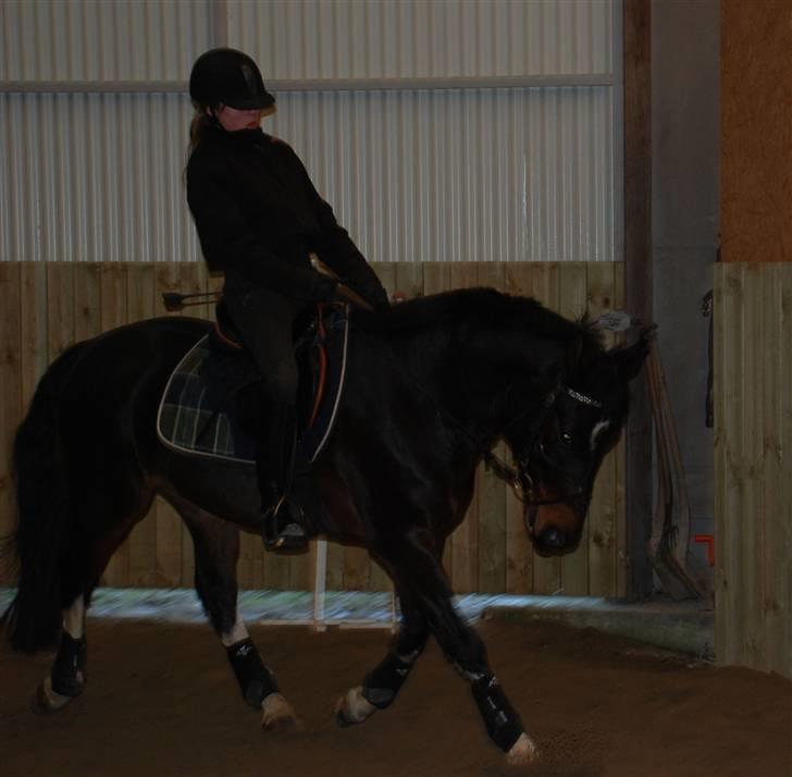 Anden særlig race Mosely's Monte Carlo - På folden.. billede 8