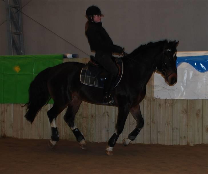 Anden særlig race Mosely's Monte Carlo billede 10