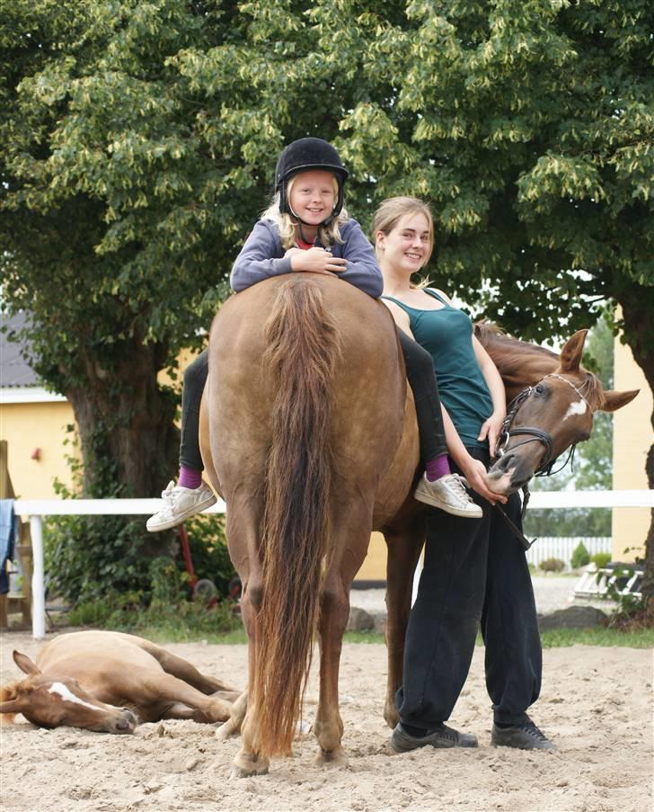 Anden særlig race Amanda - #15 - 04.08.09 - Hygge på højt plan haha læg mærke til lille trætte Amy <3 billede 15